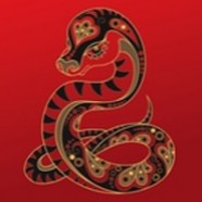 Signe chinois du Serpent